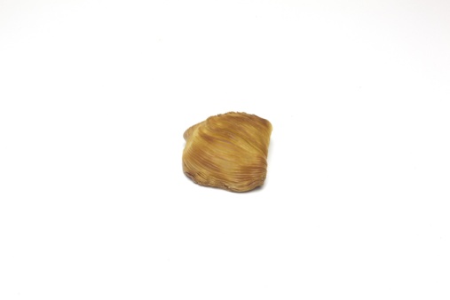 Klasična Sfogliatella